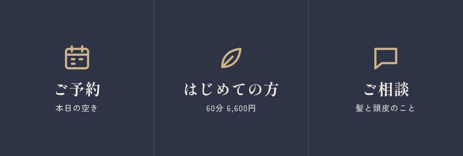 ヘッドスパ（小・3ボタン）